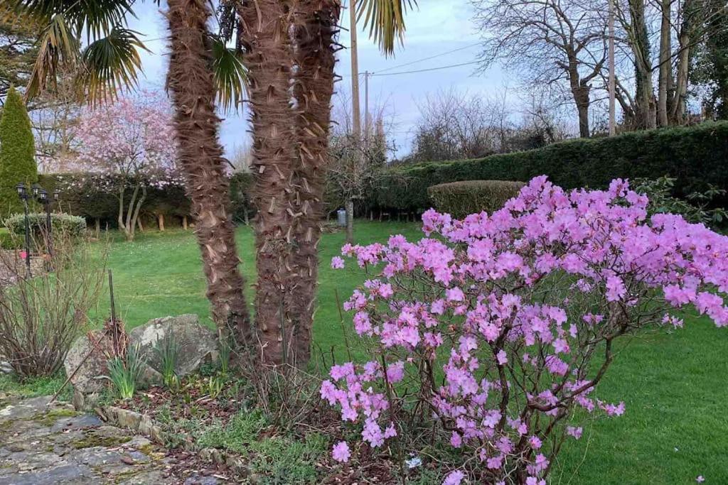 Le Nalousie Vila Livry  Exterior foto